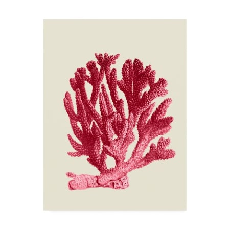 Fab Funky 'Red Corals 1 A' Canvas Art,24x32
